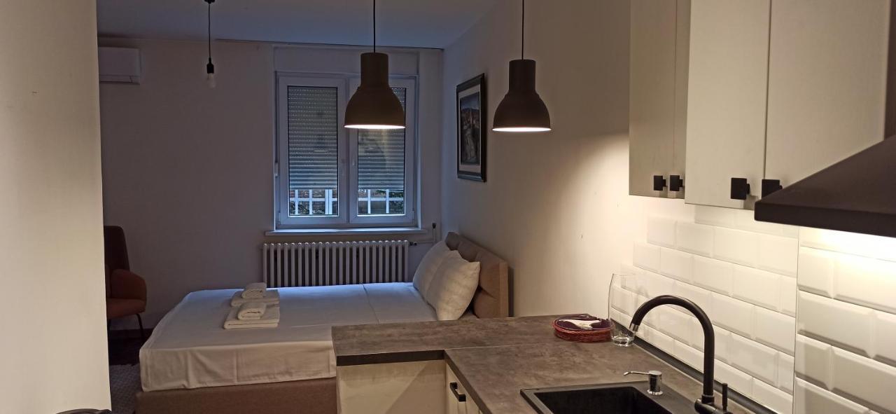 Appartement Apartman 29 à Belgrade Extérieur photo